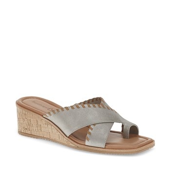 Baretraps Women's Paige Wedge Sandal | Famous Footwear