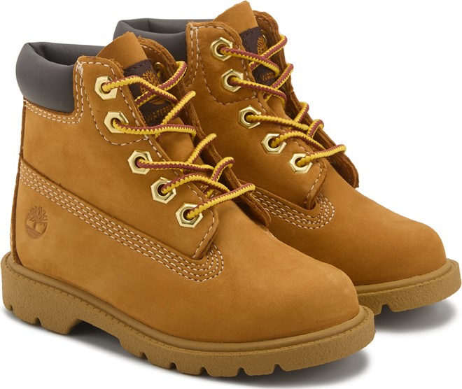 3 pair of Toddler Timberland retailer