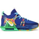 Big kid lebron store shoes