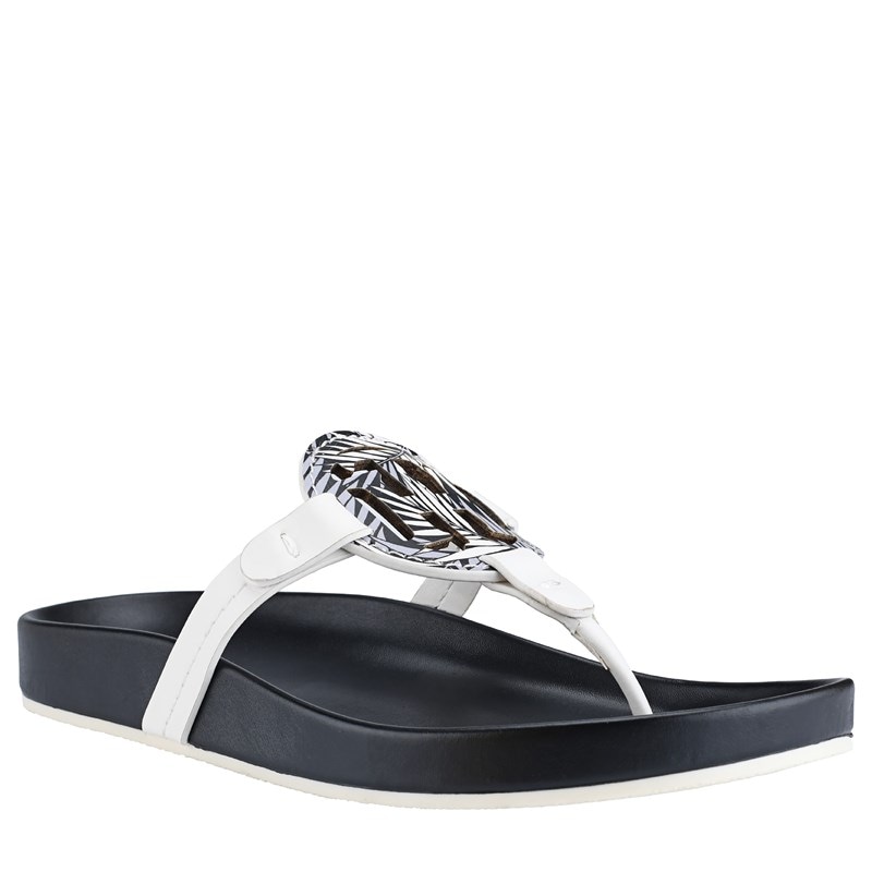 UPC 196301261971 product image for Tommy Hilfiger Women's Relina Flip Flop Sandals (Black) - Size 7.5 M | upcitemdb.com